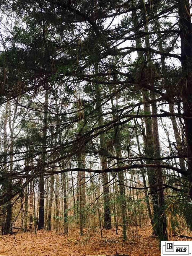 963 Claiborne Rd, Calhoun, LA 71225 - photo 3