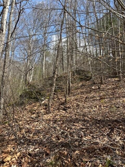 25 Green Meadow Ln unit 25, Mars Hill, NC 28754 - photo 5