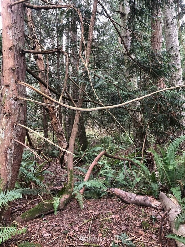 0 Lot 17 Rex St, Point Roberts, WA 98281 - photo 7