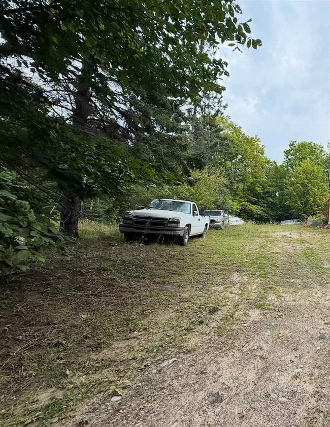 7222 Springvale Rd, Boyne Falls, MI 49713 - photo 2