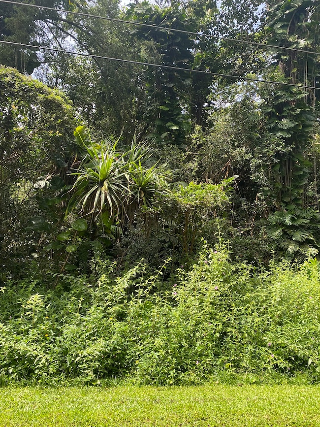 0 Heepali St, Hawaiian Beaches, HI 96778 - photo 2