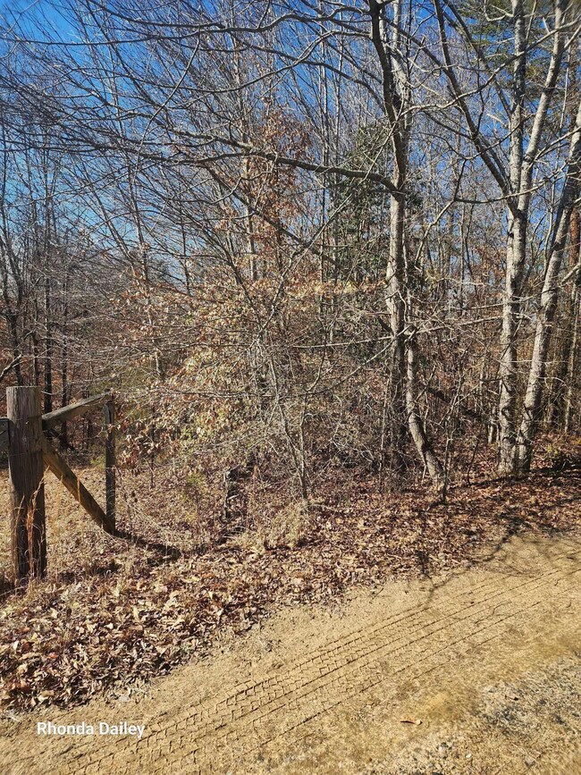 Edge of property 2