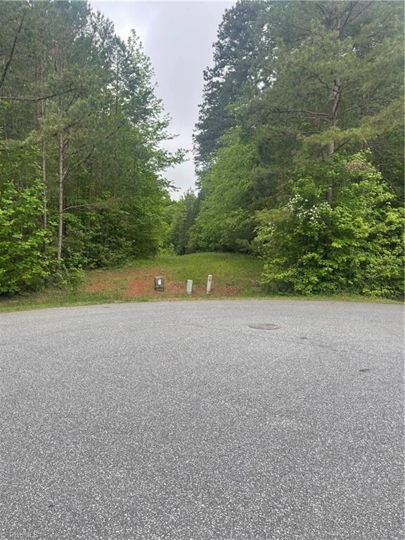 LOT #21 Horse Carriage Ln, Asheboro, NC 27205 - photo 4