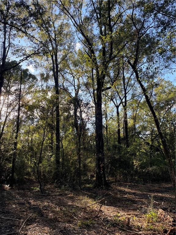 TBD Harvey Lavigne Rd, Ponchatoula, LA 70454 - photo 2