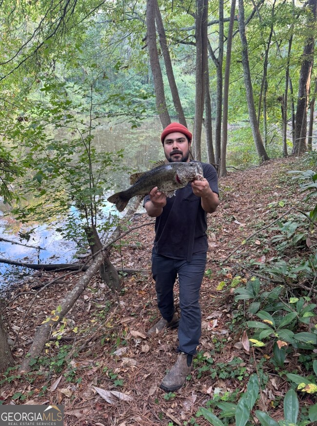 550 S Rays Rd, Stone Mountain, GA 30083 - photo 5