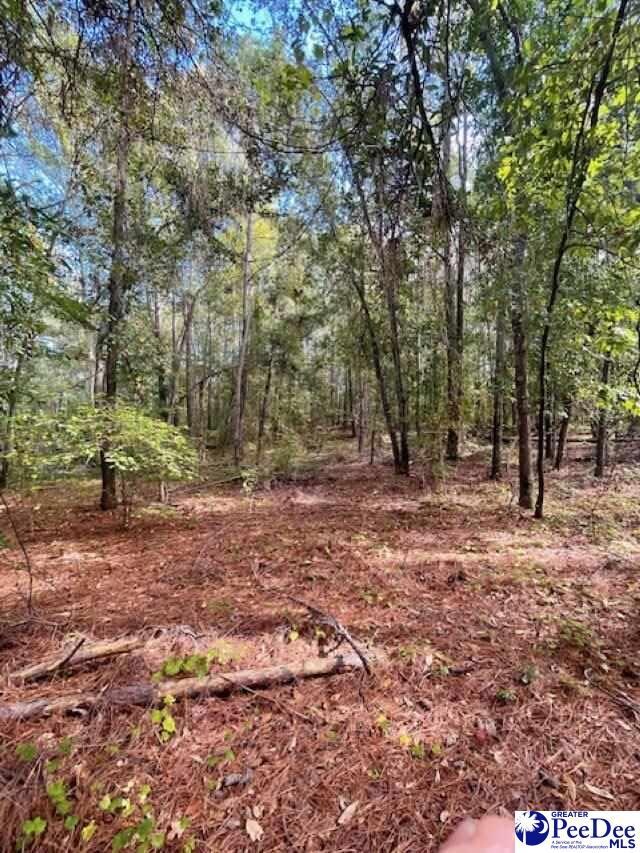 0 Center Point Rd, Chesterfield, SC 29709 - photo 7