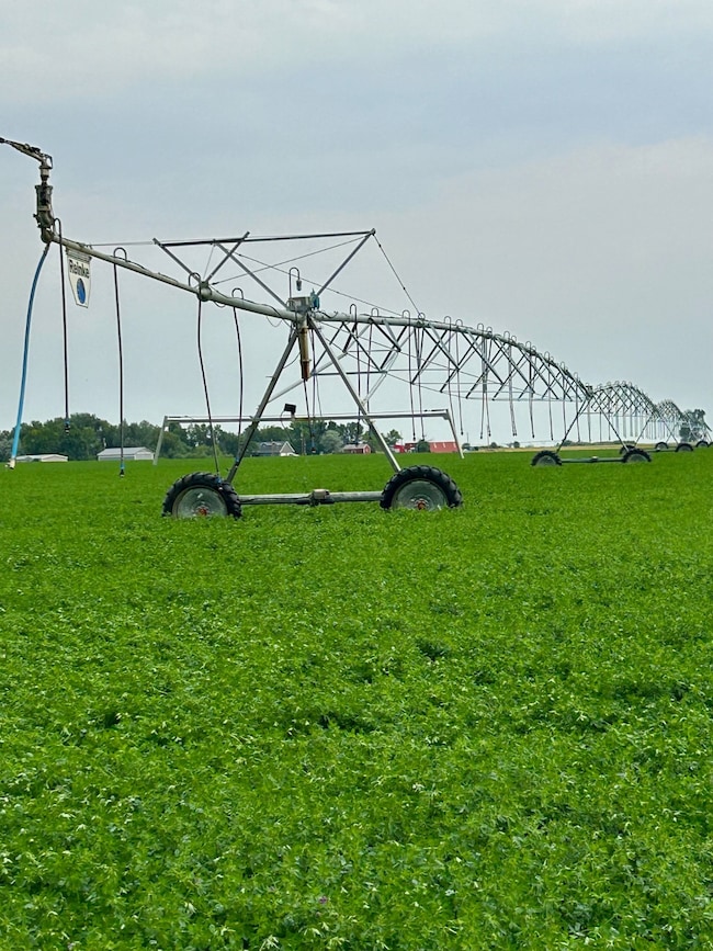 1176 County Line Rd, Fort Shaw, MT 59443 - photo 3