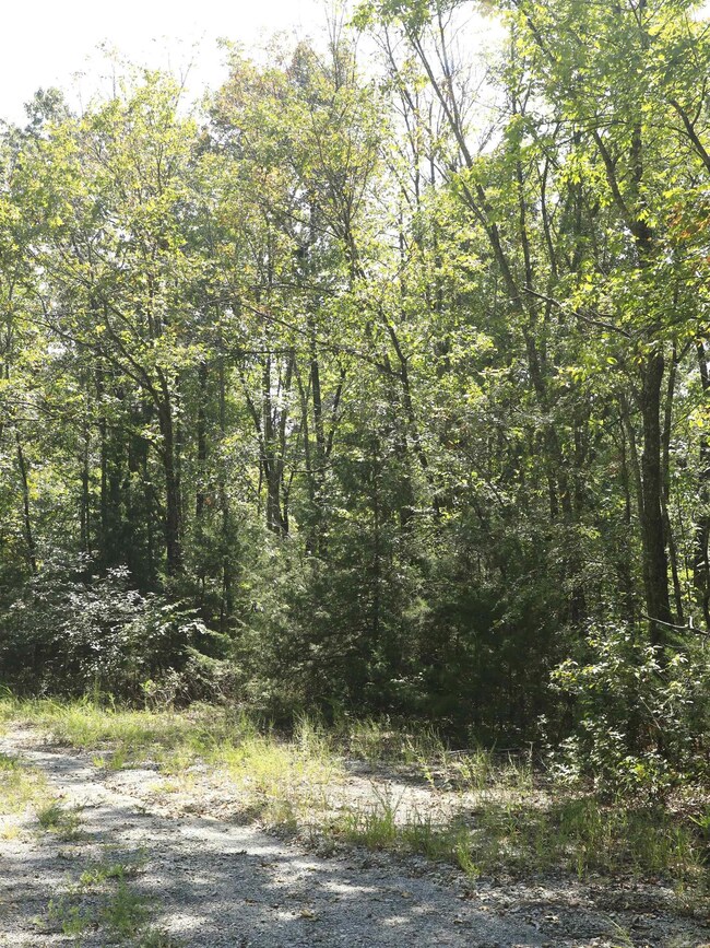 210 Bo Peep Cir, Horseshoe Bend, AR 72512 - photo 6