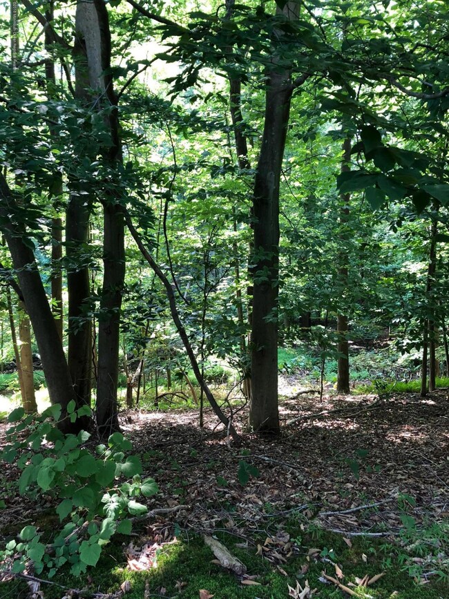 61 Western Reach, Red Bank, NJ 07701 - photo 5