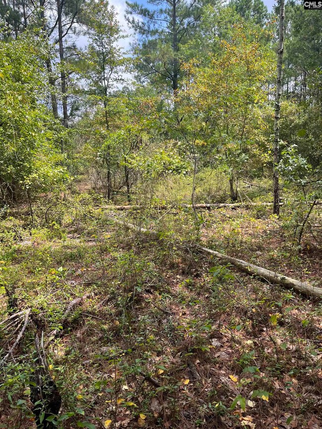 BHL 6 Boise Cascade Rd unit BHL 6, Bethune, SC 29009 - photo 7