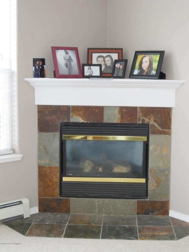 Sh Fireplace
