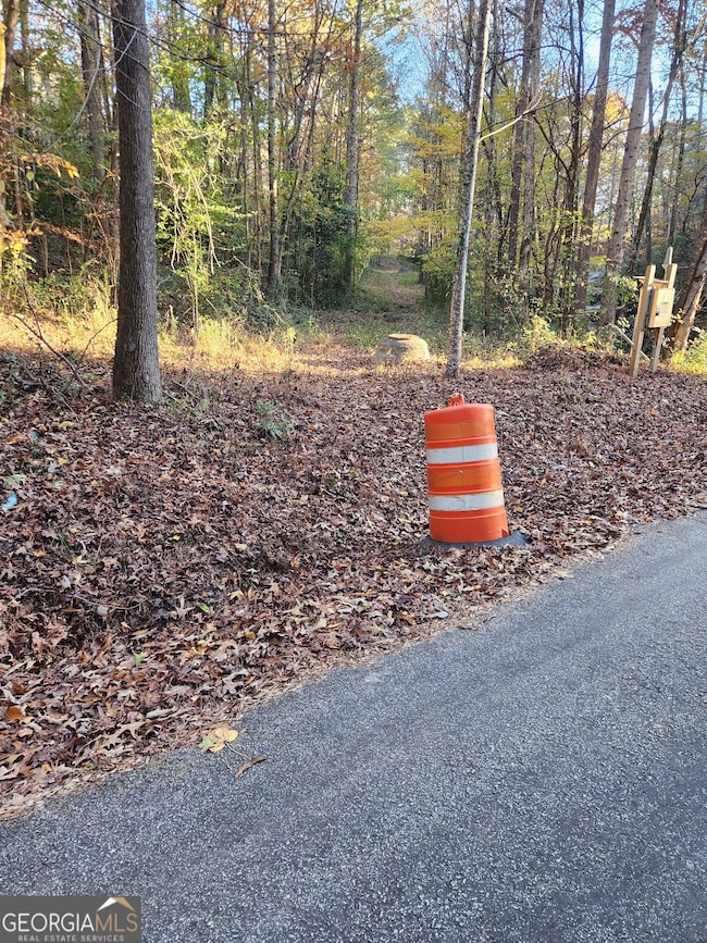 2633 Brannan Rd, Snellville, GA 30039 - photo 7