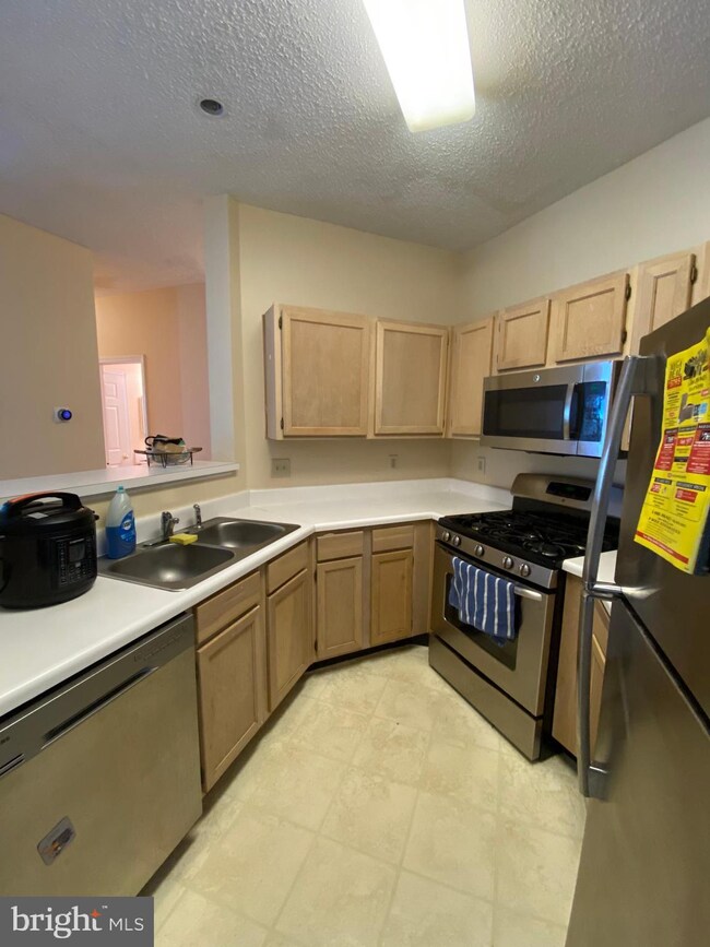 13085 Autumn Woods Way unit 101, Fairfax, VA 22033 - photo 2
