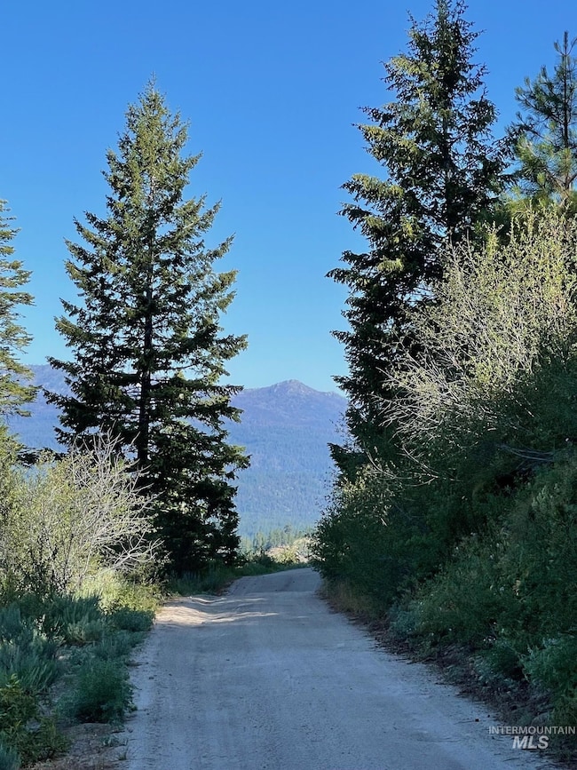 Mountain view with a forest