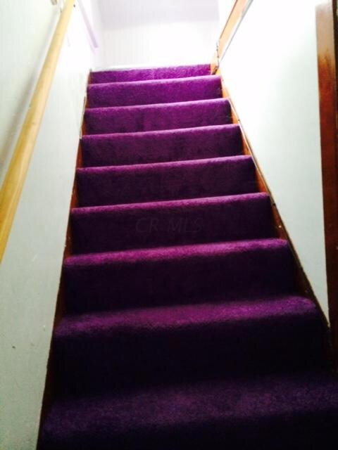 photo 2 (3)