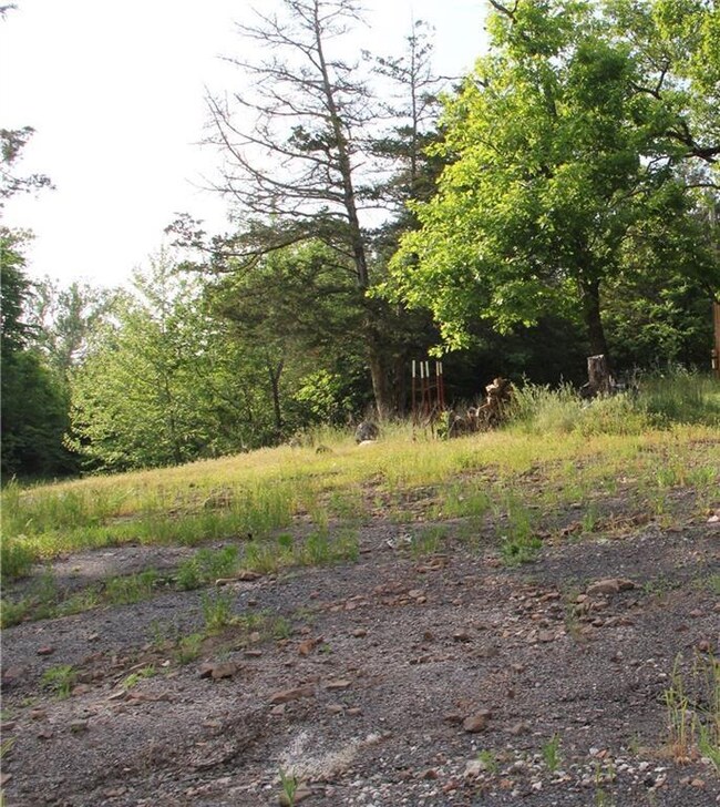 10864 Bray Rd, Elkins, AR 72727 - photo 4