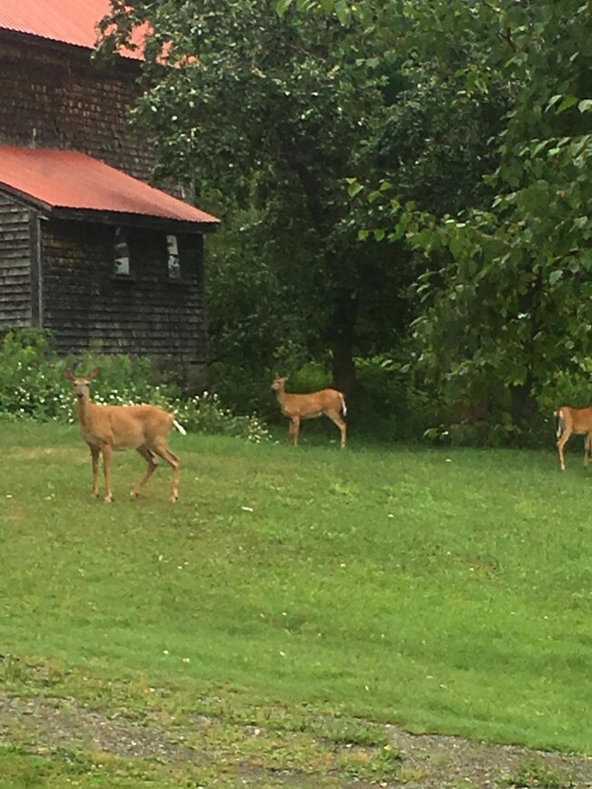 512 West Rd Deer