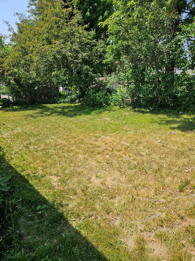 private backyard