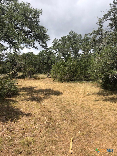 112 Peter Kleid Loop Dr unit 3, Blanco, TX 78606 - photo 6