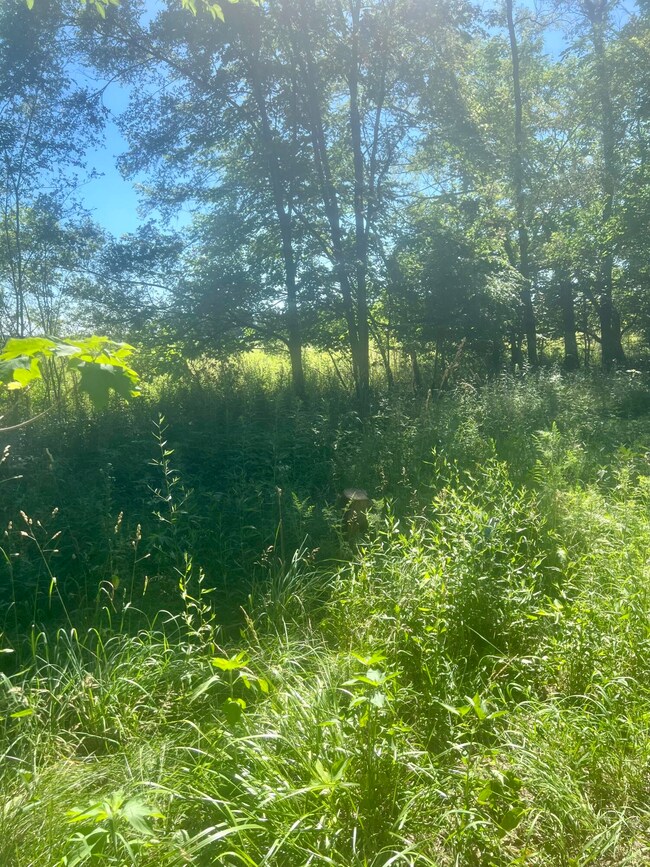 6576 Us Highway 31, Berrien Springs, MI 49103 - photo 5