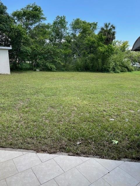 1022 E 3rd Ave, Mount Dora, FL 32757 - photo 4