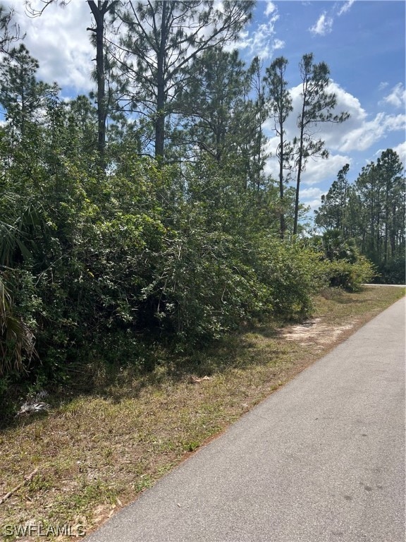 4604 Queen Ave N, Lehigh Acres, FL 33971 - photo 4