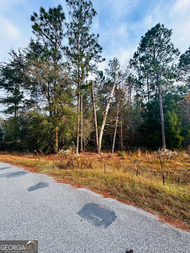 0 Brentwood Cir unit 10648008, Statesboro, GA 30458 - photo 3