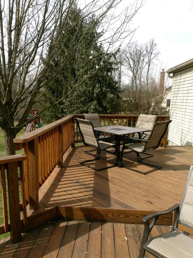 3-Back Deck