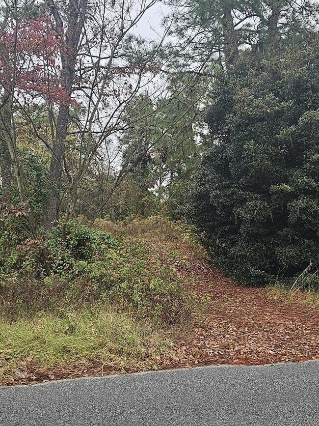 2307 Boykin Rd, Augusta, GA 30906 - photo 4