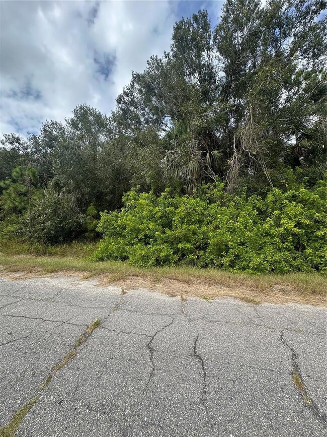 0 Kamain Rd unit MFRN6141272, North Port, FL 34288 - photo 6