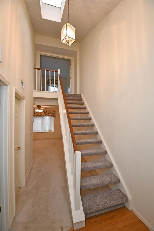 The Second floor has all new carpet and the open f