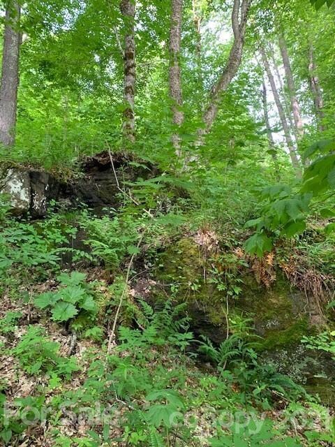 Lot 61 Mountain Air Dr, Price Creek, NC 28714 - photo 7