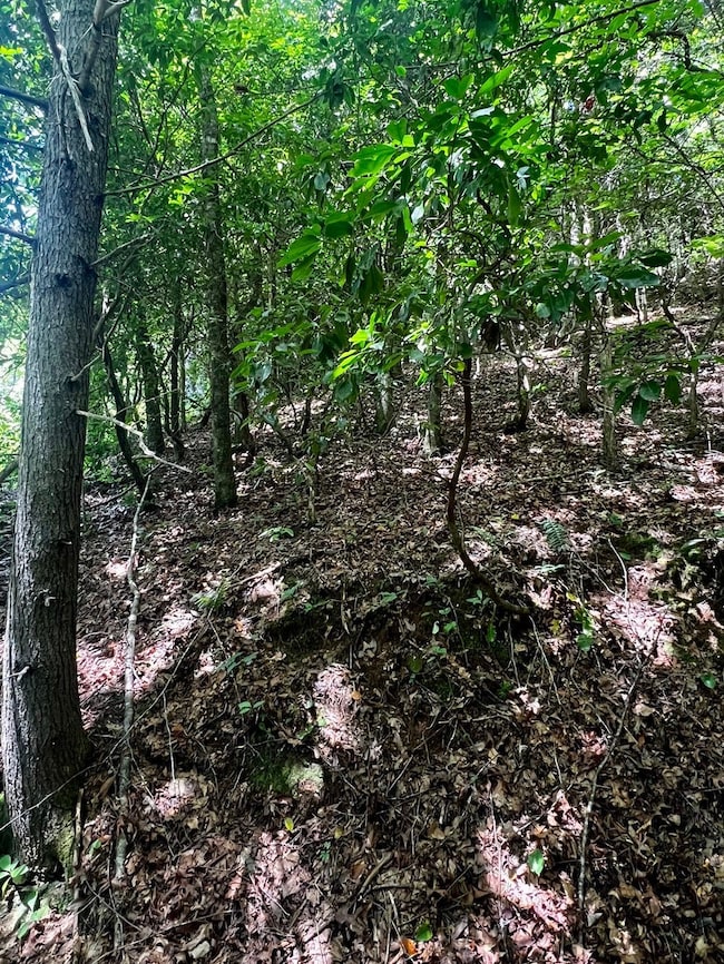 Tbd Indian Hills Drive Lot unit WP001, Murphy, NC 28906 - photo 3