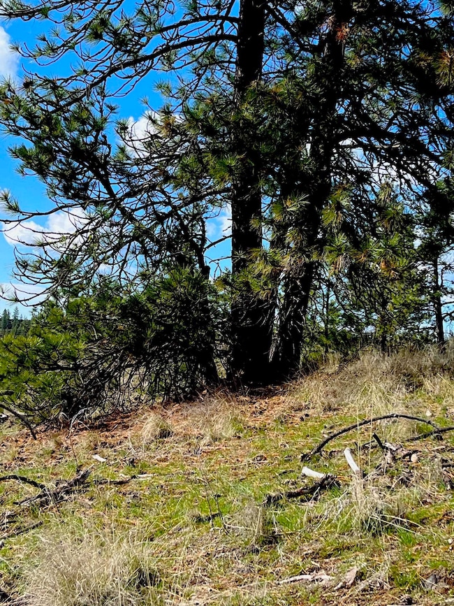 34430 N Partridge Ln N, Davenport, WA 99122 - photo 4