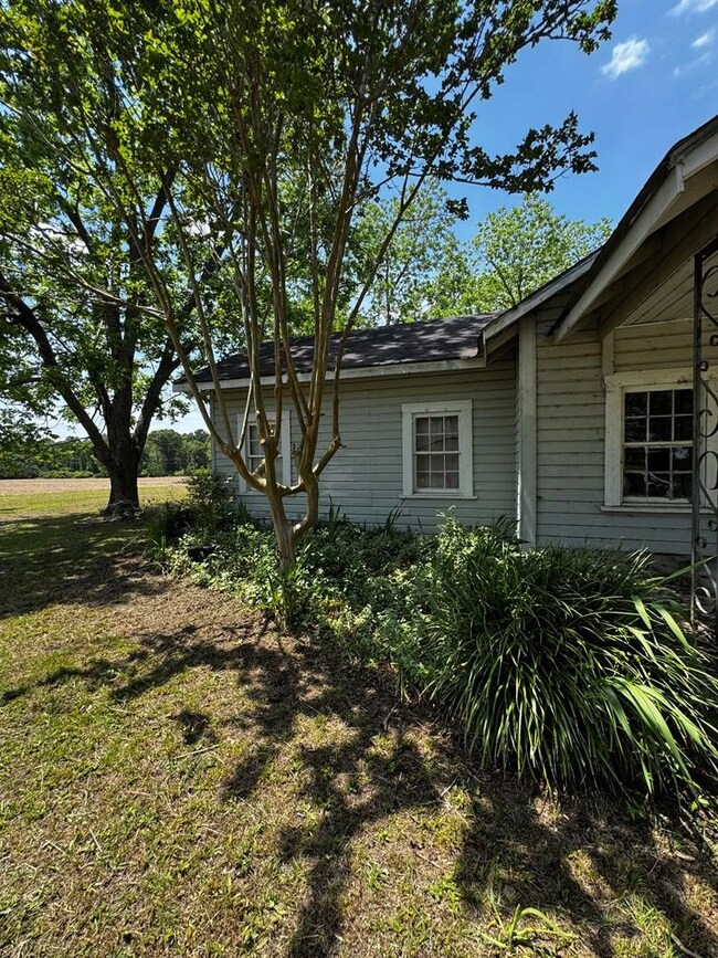 139 Brookfield Turner Church Rd, Enigma, GA 31749 - photo 3