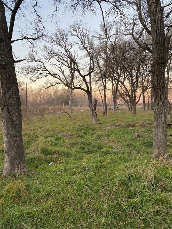 243 Iroquois Trail, Weatherford, TX 76087 - photo 3