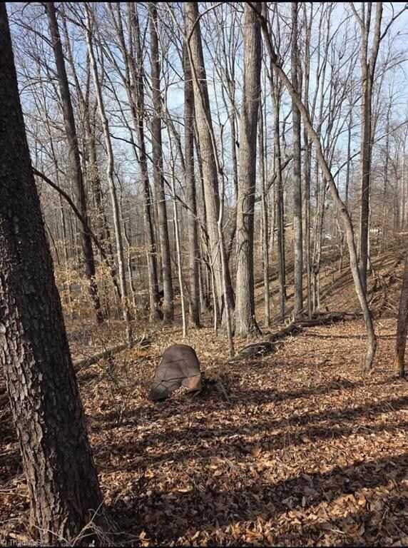 1065 Cedar Ln, Reidsville, NC 27320 - photo 4