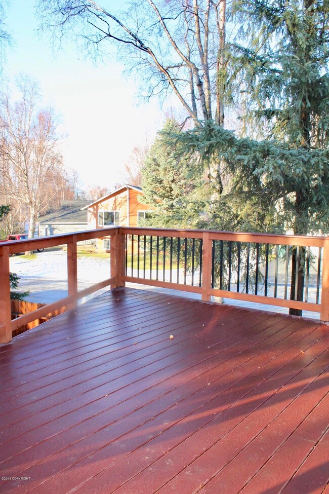 New Trex Deck