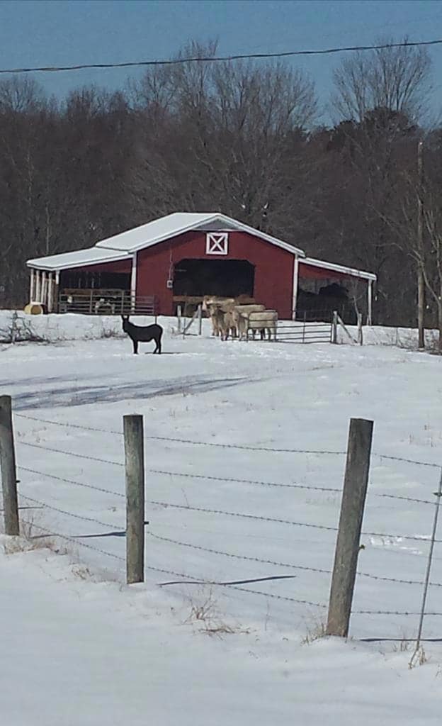 TBD Jeb Stuart Hwy, Stuart, VA 24171 - photo 3