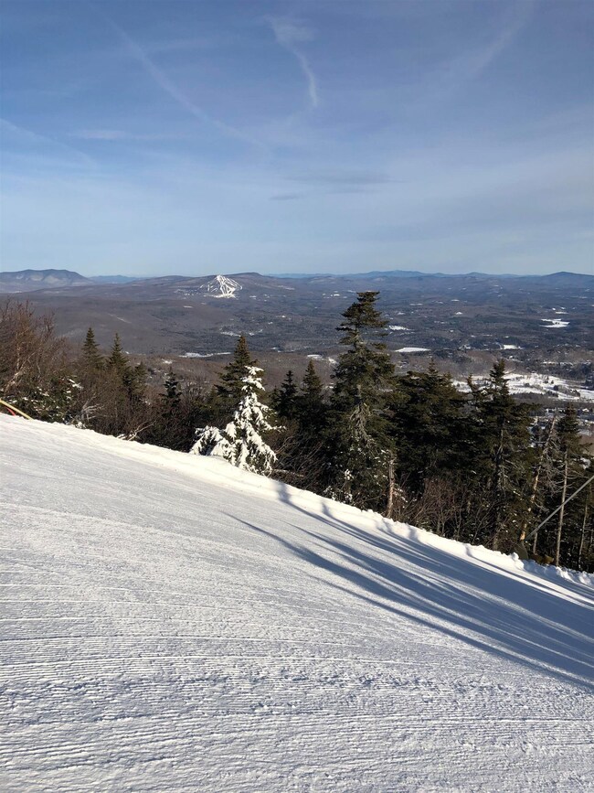 12 Windtree Rd, Winhall, VT 05340 - photo 5