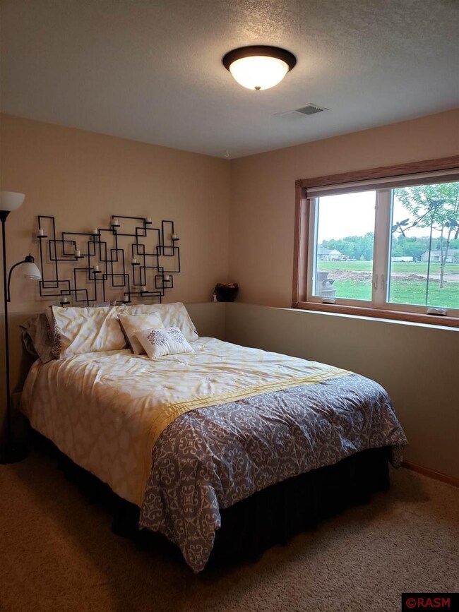 21 Village Ln, New Ulm, MN 56073 - photo 6
