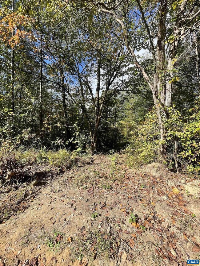 0 Riverdale Rd, Stanardsville, VA 22973 - photo 7