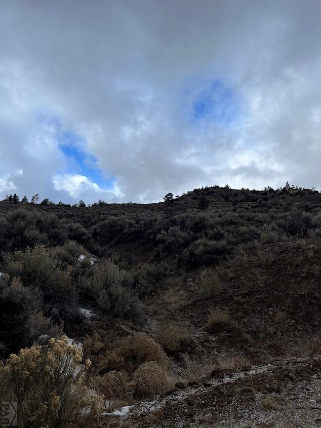 232 0, Fort Garland, CO 81133 - photo 2