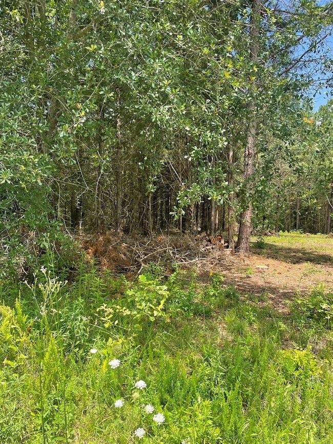 96 Deacon Rd, Calhoun Falls, SC 29628 - photo 2