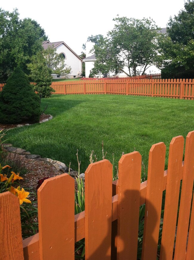Lawn and Fence