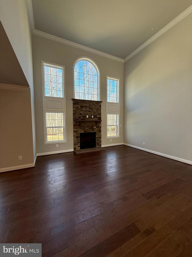 12118 Calverts Run Ct, La Plata, MD 20646 - photo 3