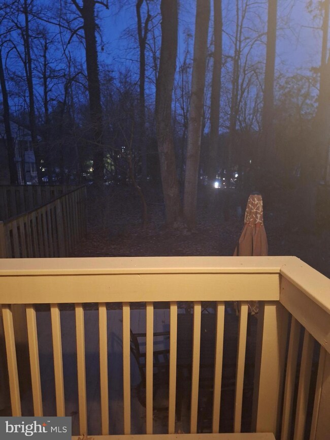 11726 Lone Tree Ct, Columbia, MD 21044 - photo 5