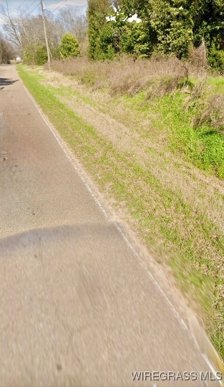 1040 County Road 665, Chancellor, AL 36316 - photo 3