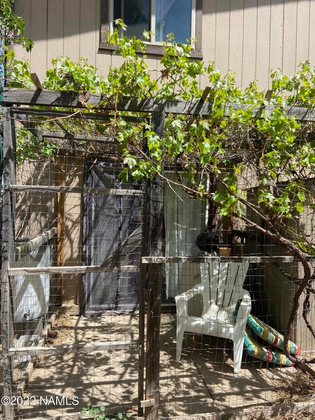 Back yard