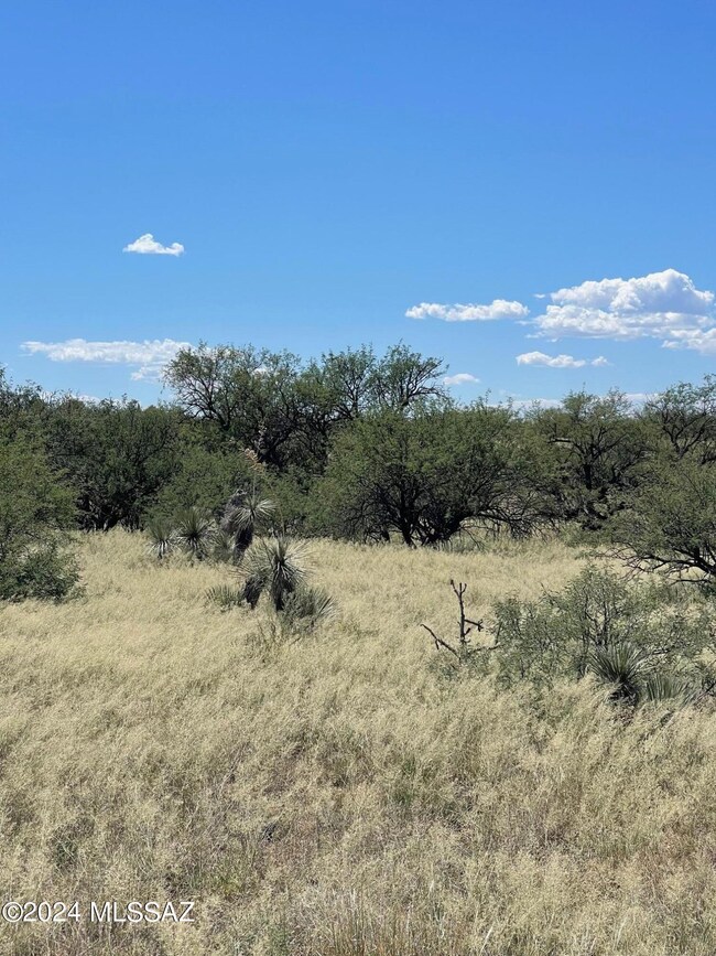 TBD S Shortino Ln unit A, Benson, AZ 85602 - photo 4